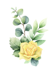 Wall Mural - Watercolor vector hand painted clipart with green eucalyptus leaves and roses.