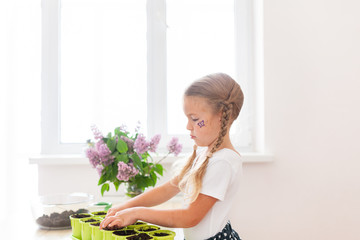 Wall Mural - Little girl in a white T-shirt plants pea seeds in green pots, a child cares for plants, a home garden on the window