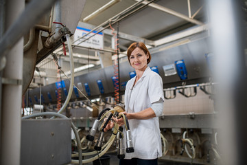 Wall Mural - Woman manager on diary farm, milking technology in agriculture industry.