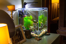Aquarium With Fish On A Table. Nano Aquarium In The Home Interior. Light In The Aquarium In The Evening. Cozy Interior.