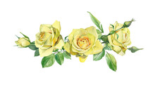 Horizontal Composition Of Watercolor Yellow Roses.