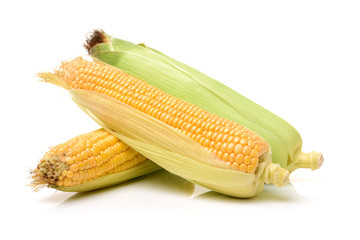 Corn on a white background 