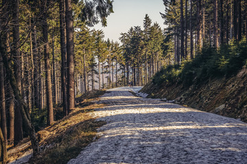 Poster - Hiking trail on Kozia Rownia Mount in Owl Mountains Landscape Park - protected area in Sudetes Mountains in Poland