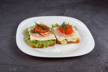 Two delicious sandwiches with salad leaf, tomato and cheese on the white plate. Grey textured background.