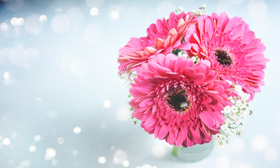 Wall Mural - Fresh gerberas (daisy gerber). Spring background