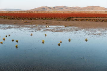 Blue lake in the middle of field and red grass around it. In background is mountain. Natural landscape.