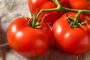 Canvas Print - Raw Organic Vine Ripe Red Tomatoes