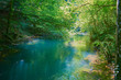 © Ovidiu - Blue river in the forest