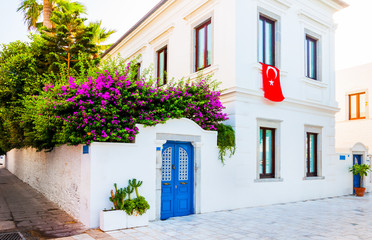 Wall Mural - BODRUM, MUGLA, TURKEY. Pink bougainvillea flowers and old blue door in Bodrum. Traditional Bodrum House..