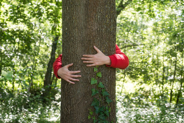 Wall Mural - closeup of man hugging a tree trunk in a forest