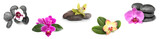 Fototapeta Panele - Set of beautiful orchid flowers with leaves and stones on white background. Banner design