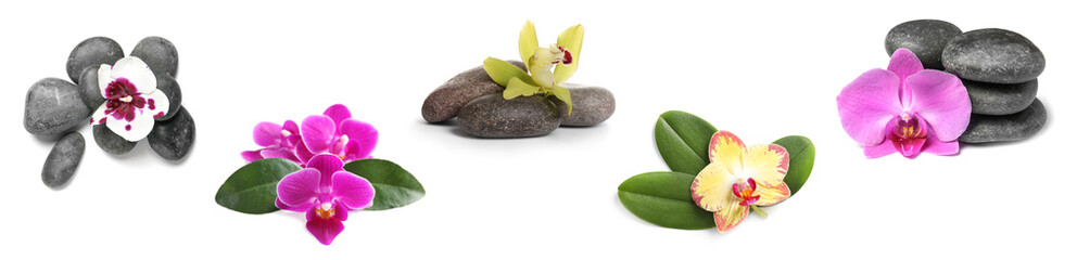  Set of beautiful orchid flowers with leaves and stones on white background. Banner design