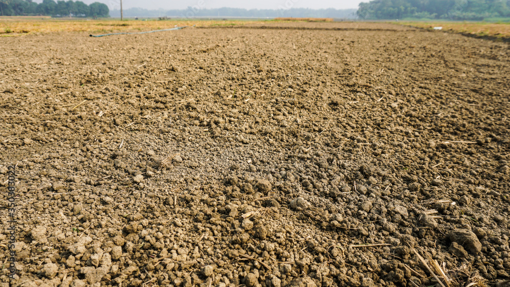 Soil - Texture (Sand, Silt, Clay Composition). Fertile loam soil ...