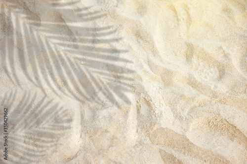 Fototapete - top view of tropical palm leaf shadow on sand color background. minimal summer concept. flat lay