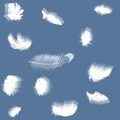 Sticker - twelve feathers isolated on dark blue background