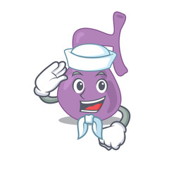 Sticker - Smiley sailor cartoon character of gall bladder wearing white hat and tie