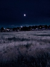 Scenic View Of Grassy Field At Night