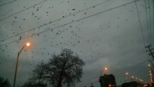 Low Angle View Of Illuminated Street Lights Against Birds Flying In Sky