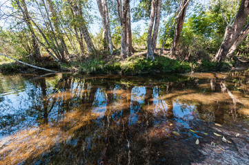 Waterfall in nature park landscape