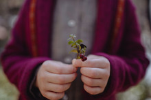 Plant In Hands
