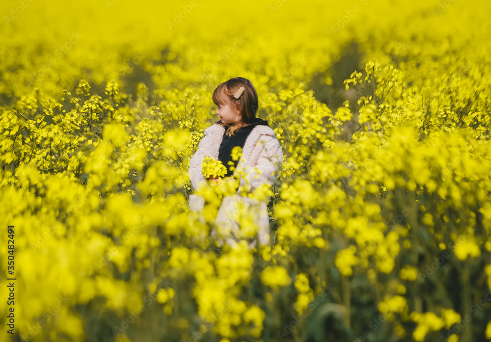 Little girl playing in rape field Stock Photo | Adobe Stock