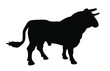 Standing adult bull vector silhouette illustration isolated on white background. Breeding bull.  quality genetic material for insemination. Organic food.  Strong animal for bull fighting Spain corrida