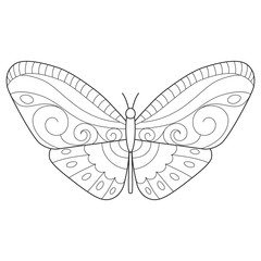 Wall Mural - Butterfly coloring page for children and adults.