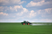Tractor Spraying Green Wheat Field. Agricultural Work