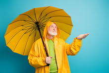 Portrait Of His He Dissatisfied Grey-haired Man Wearing Yellow Overcoat Holding Rainy Drop On Palm Waiting Expecting Forecast Change Isolated Over Bright Vivid Shine Vibrant Blue Color Background
