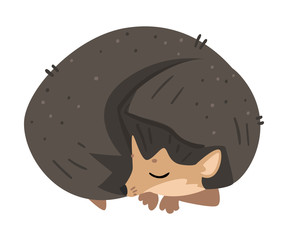 Wall Mural - Cute Hedgehog Sleeping Curled Up, Lovely Wild Forest Animal Cartoon Character Vector Illustration