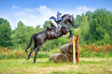 Eventing: Equestrian Rider Jumping Over An A Brance Fence Obstacle