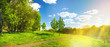 Beautiful bright colorful summer spring landscape with trees in Park and path, juicy fresh green grass on lawn and sunlight against  blue sky with clouds. Wide format.