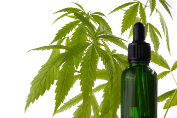 Wall Mural - Cbd oil, cannabis extract. Medical marijuana, hemp oil in bottle.