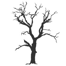Naked Tree Silhouette On White Backgrounds. Hand Drawn Isolated Illustrations.