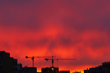 two construction cranes rise above the skyscrapers on the background