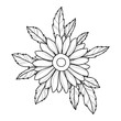 Hand drawing chamomile flower for greeting card, invitation, Henna drawing and tattoo template. Vector illustration