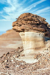 Sticker - Bisti Badlands New Mexico Mushroom Hoodoo 