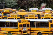 Yellow School Buses In A Parking Lot, In A Transportation Background