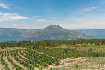 Wall Mural - The volcano Pusuk Buhit, a 2000m high mountain at the Lake Toba, the largest volcanic lake in the world.In the Batak mythology the summit is called the birthplace of the Batak tribe