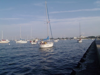 Boats in the Harbor