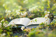 Opened Book Lays In The Beautiful Meadow Of Blooming Wild Strawberries, Closeup. 