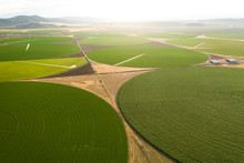 Green Crop Circles Grow In A Remove Nevada Desert