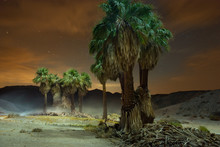 Night Time Long Exposure Desert Scene In Anza Borrego National P