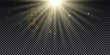 © Elena - Golden burst with sparkle rays and lens flare effect. Glowing stars. Golden glitter bokeh lights and burst of magical dust particles. Vector illustration.