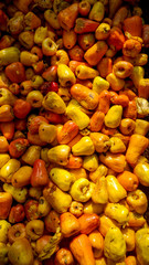 Cashew Fruit