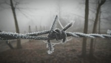 Close-up Of Frost On Barbed Wire