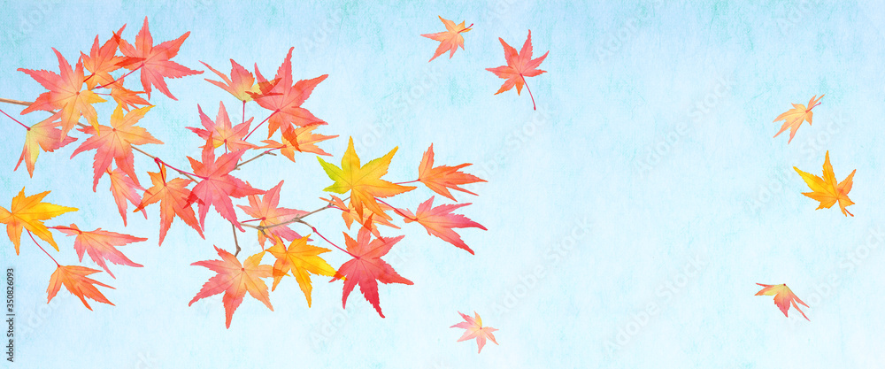 和紙を背景にした 赤く色づいた秋の紅葉の枝と落葉 水彩イラスト Fototapety 和紙を背景にした 赤く色づいた秋の紅葉の枝と落葉 水彩イラスト Fototapety