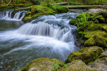  Mountain river with rapids on the stones in the wild forest