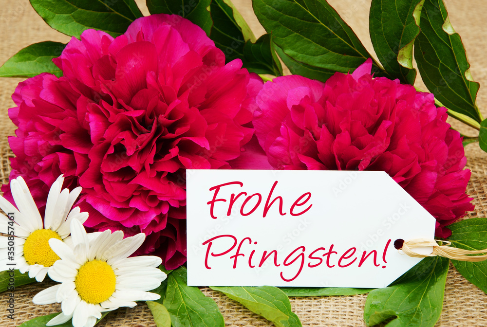 Stock-Foto „Frohe Pfingsten!, Pfingstgrüsse mit Pfingstrosen“