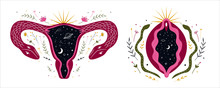 Abstract Image Of A Vagina. Outer Space, Planets, Moon And Stars. Snake Tempter And Plant Herbs. Printing On Fabric And Paper. Radical Femenism. Vector